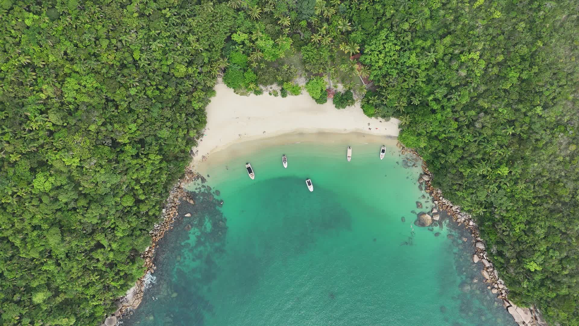 Aerial tropical bay with turquoise water and forest shoreline